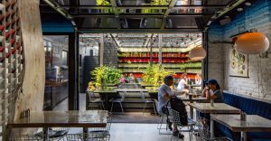 ESOP, Edible Beats, Denver